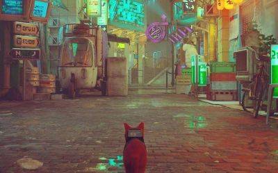 Сюрприз Nintendo Direct. Stray - самая кошачья игра последних лет выйдет на Switch - gametech.ru - city Big
