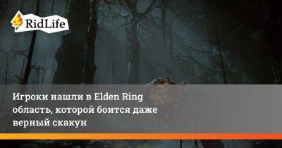 Игроки нашли в Elden Ring область, которой боится даже верный скакун - ridus.ru