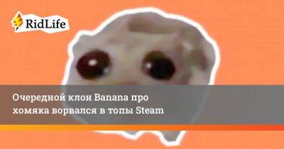 Очередной клон Banana про хомяка ворвался в топы Steam - ridus.ru