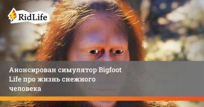 Анонсирован симулятор Bigfoot Life про жизнь снежного человека - ridus.ru