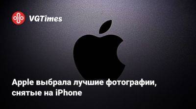 Apple выбрала лучшие фотографии, снятые на iPhone - vgtimes.ru - Санкт-Петербург