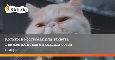 Котики в костюмах для захвата движений помогли создать босса в игре - ridus.ru