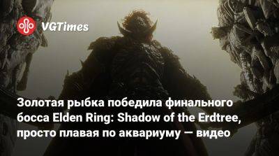 Золотая рыбка победила финального босса Elden Ring: Shadow of the Erdtree, просто плавая по аквариуму — видео - vgtimes.ru