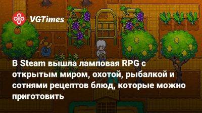 В Steam вышла ламповая RPG с открытым миром, охотой, рыбалкой и сотнями рецептов блюд, которые можно приготовить - vgtimes.ru - Приморье край