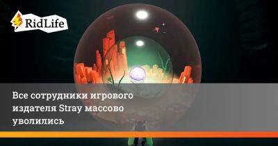 Джейсон Шрайер - Гектор Санчес - Все сотрудники игрового издателя Stray массово уволились - ridus.ru - state Kentucky