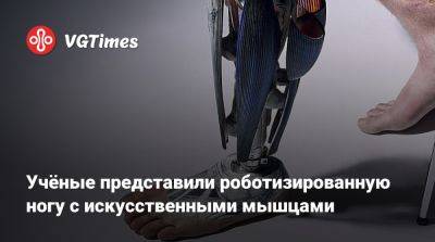 Учёные представили роботизированную ногу с искусственными мышцами - vgtimes.ru - Швейцария