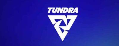 Tundra Esports прошла на DreamLeague Season 25 - dota2.ru