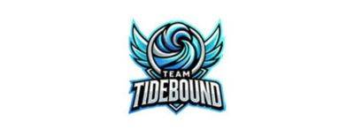 Team Tidebound прошла на PGL Wallachia Season 3 - dota2.ru - Китай - Румыния - Бухарест