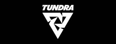 Профиль Tundra Esports — самый популярный среди команд по Dota 2 на Liquipedia в 2024 году - dota2.ru