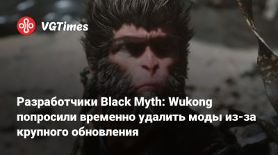 Разработчики Black Myth: Wukong попросили временно удалить моды из-за крупного обновления - vgtimes.ru - Китай