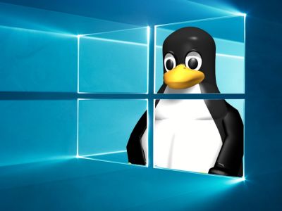 Завершение поддержки Windows 10 вызвало рост интереса к Linux - playground.ru