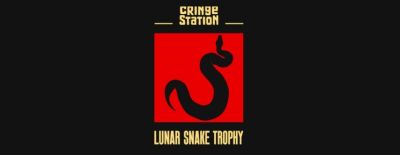 Veroja заняла первое место на Cringe Station Lunar Snake Trophy 3 - dota2.ru - Сша