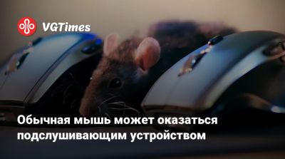 Обычная мышь может оказаться подслушивающим устройством - vgtimes.ru