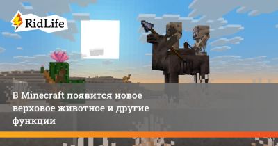 В Minecraft появится новое верховое животное и другие функции - ridus.ru