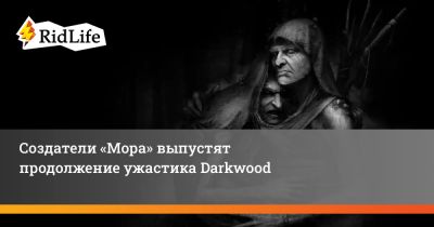 Создатели «Мора» выпустят продолжение ужастика Darkwood - ridus.ru