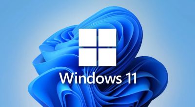 Windows 11 используют 55,17% пользователей, а Windows 10 - 41,74% - playground.ru