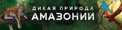 Джунгли зовут! - hobbygames.ru