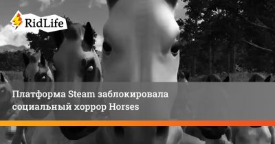 Santa Ragione - Платформа Steam заблокировала социальный хоррор Horses - ridus.ru