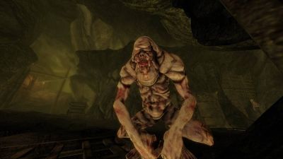 «Словно вернулся в прошлое»: фанатов The Elder Scrolls III: Morrowind впечатлил атмосферный тизер Skywind - 3dnews.ru