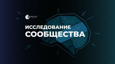 Любимые игры, жанры и вайфу: Owlcat подвели итоги большого опроса - playground.ru