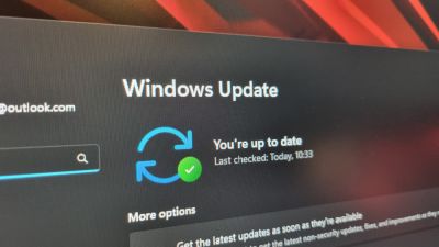 Декабрьское обновление Windows 11 устраняет зависания видеокарт AMD и сбои в играх на DX12 - playground.ru