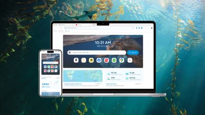Представлен новый браузер на базе Chromium, помогающий очищать океан от мусора - playground.ru - Индонезия - Сша - Доминиканская Республика