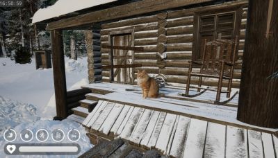 Добавим уюта в "Зимнюю хижину"? Готовы приютить кота? - playground.ru