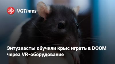 Энтузиасты обучили крыс играть в DOOM через VR-оборудование - vgtimes.ru - Нью-Йорк
