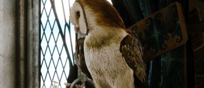 Гарри Поттер - ПК-геймеры могут получить Hogwarts Legacy бесплатно — предложение ограничено по времени - gamemag.ru