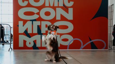 Юлия Пересильд - Юрий Колокольников - Второй день Comic Con Игромир: новые трейлеры игр и звёздные гости - playground.ru - Кинопоиск - Российская Империя