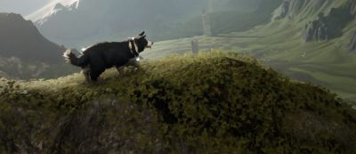 Анонсирован симулятор пастушьей собаки The Free Shepherd для PlayStation 5 и PC - gamemag.ru