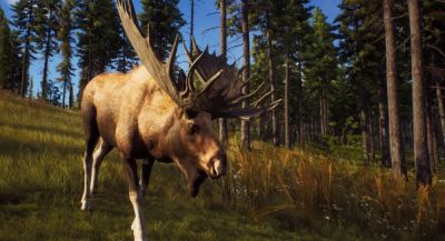 HandyGames делает Way of the Hunter: Wild Europe для смартфонов - app-time.ru