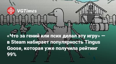 «Что за гений или псих делал эту игру» — в Steam набирает популярность Tingus Goose, которая уже получила рейтинг 99% - vgtimes.ru