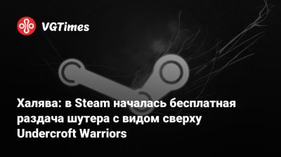 Халява: в Steam началась бесплатная раздача шутера с видом сверху Undercroft Warriors - vgtimes.ru