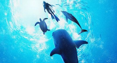 Создатели Rise of Arks проводят софт-запуск «выживача» Endless Sea - app-time.ru - Индонезия - Сша - Бразилия - Индия - Филиппины - Пуэрто-Рико