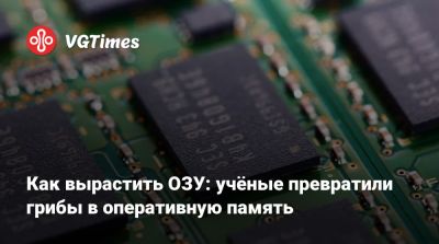 Как вырастить ОЗУ: учёные превратили грибы в оперативную память - vgtimes.ru - Сша - штат Огайо
