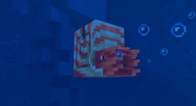 В Minecraft добавят подводного маунта и его зомби-версию - app-time.ru