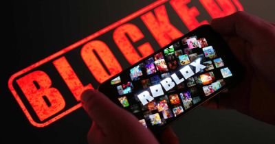Обещают пожизненный доступ: блокировка Roblox привела к всплеску мошенничества - ren.tv - Россия - Москва