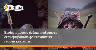 Выбери своего бойца: нейросеть сгенерировала фэнтезийных героев как котят - ridus.ru