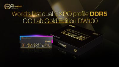 Biwin представил память OC Lab Gold Edition DW100 с двумя профилями AMD EXPO: DDR5-8000 CL34 и DDR5-6400 CL28 - playground.ru