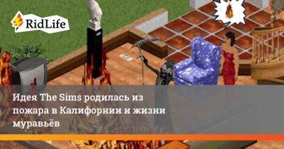 Уилл Райт - Идея The Sims родилась из пожара в Калифорнии и жизни муравьёв - ridus.ru - штат Калифорния - New York