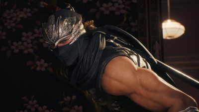Team Ninja советует убрать интерфейс в Ninja Gaiden 2 Black для максимальной сложности - gametech.ru