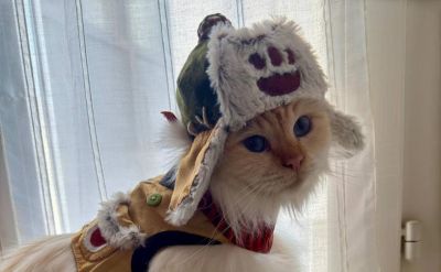 Замурррчательный союзник: кошка показала косплей Палико из Monster Hunter Wilds - gametech.ru