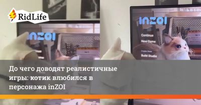 До чего доводят реалистичные игры: котик влюбился в персонажа inZOI - ridus.ru