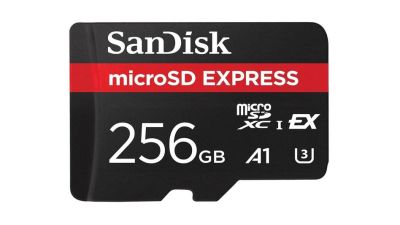 Ади Шанкар - Спекулянты смели с полок карты microSD Express для Switch 2 - gametech.ru - Япония