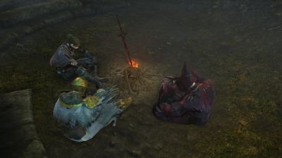 Ади Шанкар - Dark Souls теперь можно полностью пройти в кооперативе — вышел мод Seamless Co-op - gametech.ru