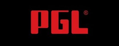 В правилах PGL Wallachia Season 4 не приветствуется использование общего чата, помимо GLHF и GG - dota2.ru