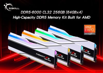 Meg X (X) - G.SKILL выпускает комплект памяти DDR5 объемом 256 ГБ (64 ГБx4) со скоростью DDR5-6000 CL32 - playground.ru