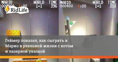 Геймер показал, как сыграть в Марио в реальной жизни с котом и лазерной указкой - ridus.ru