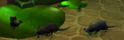 Зелья, эликсиры и настои с самыми необычными эффектами в WoW - noob-club.ru - Прибамбасск
